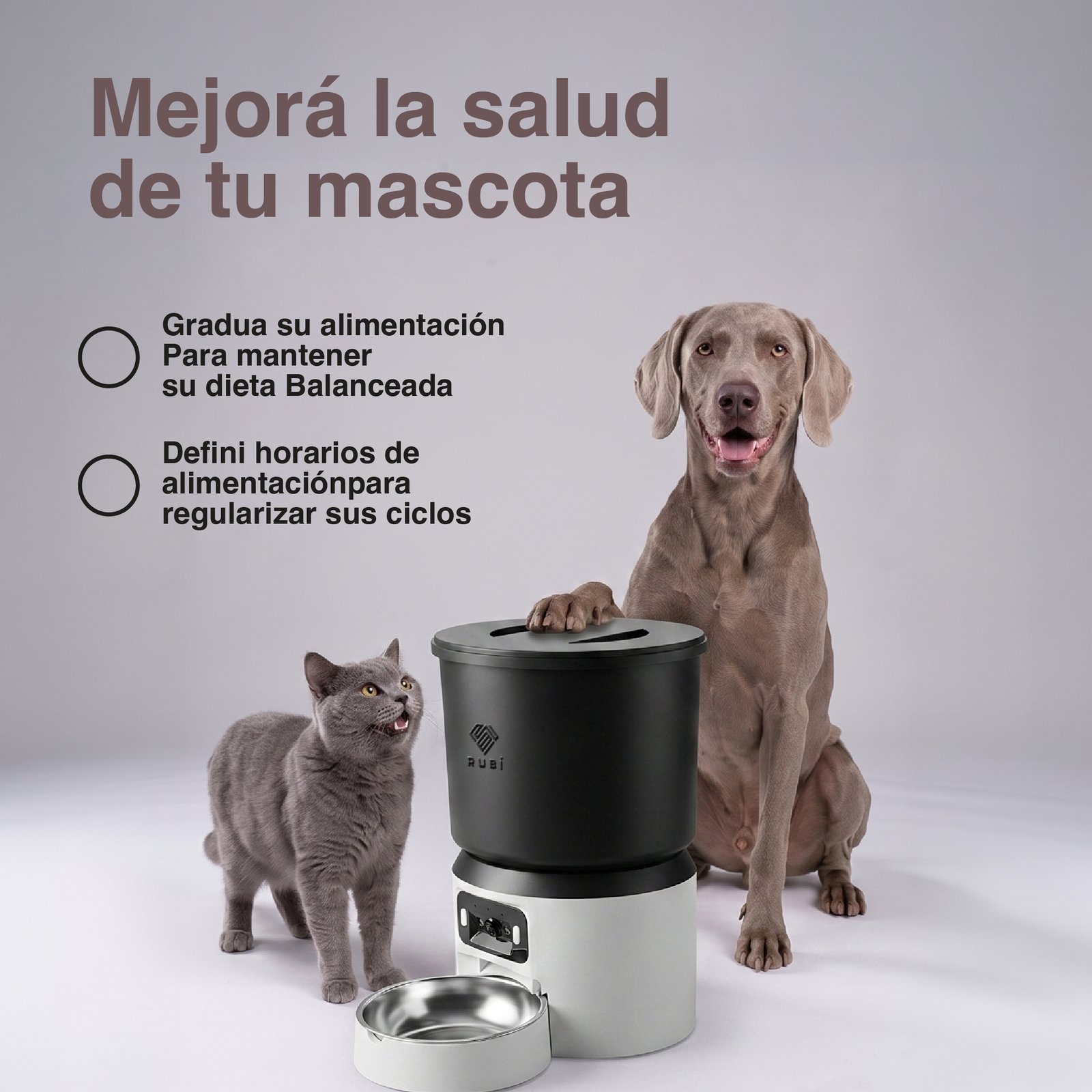 Alimentador Smart 4L con Cámara - Image 6